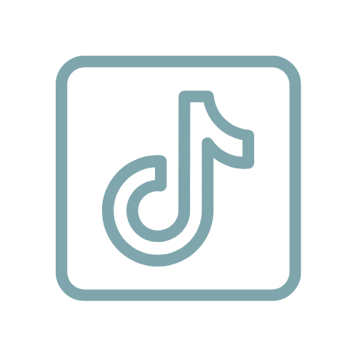 Icon of the TikTok music note logo
